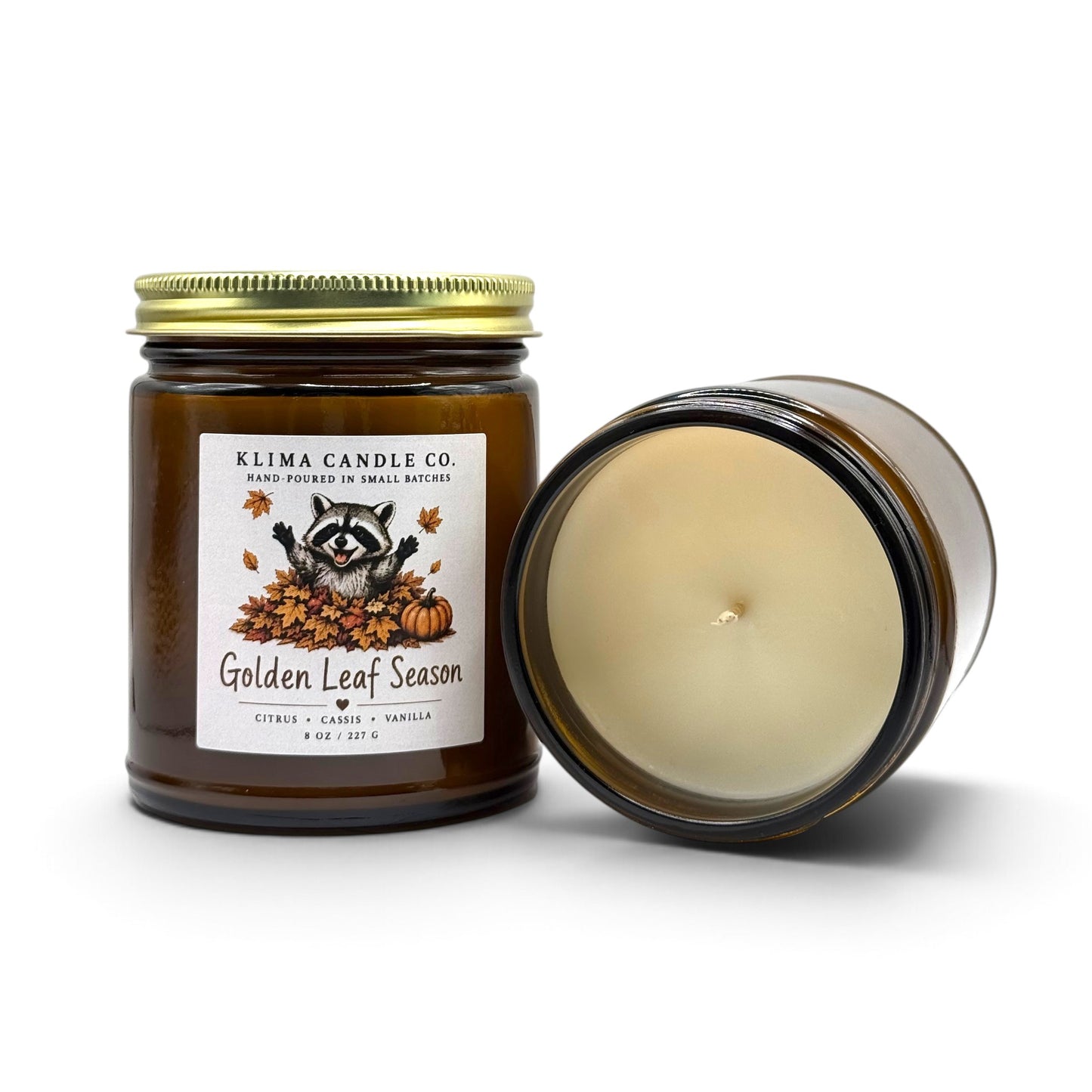 Golden Leaf Season Candle – Citrus, Cassis & Vanilla
